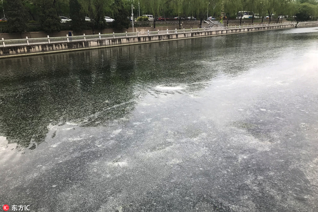 《海贼王第890集》在线观看