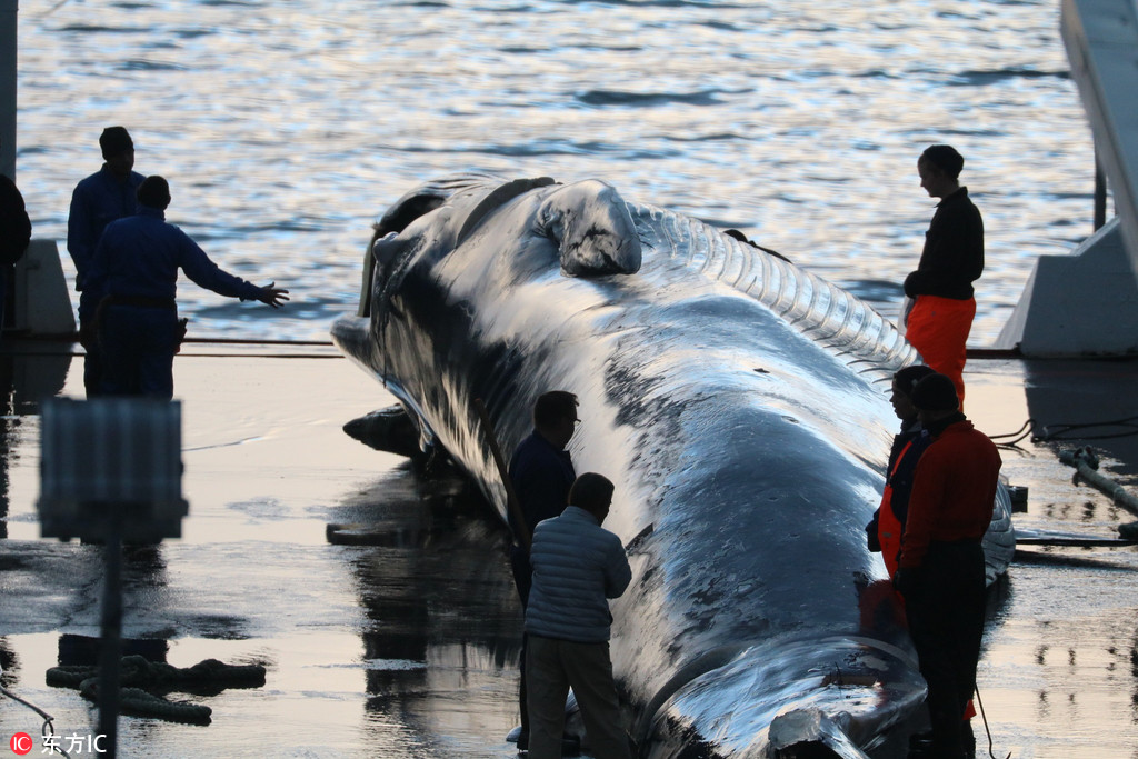 原神黄改同人漫画