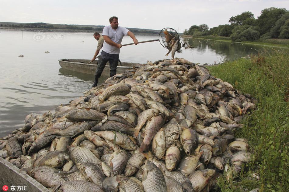异世界搞笑冒险番为何吸引人？独特设定与反差角色是关键
