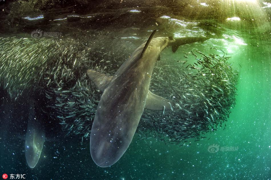 笔趣阁手机版：优质小说阅读软件，类型全且可自由查找