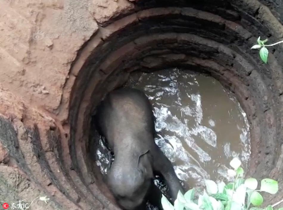 阅站漫画：资源丰富更新快，免费福利多，阅读体验超棒