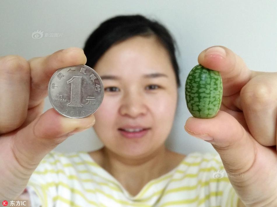 斗破苍穹老粉必看！正版免费观看渠道及支持正版的意义