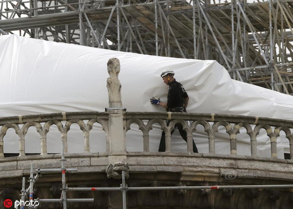 斗破苍穹老粉必看！正版免费观看渠道及支持正版的意义