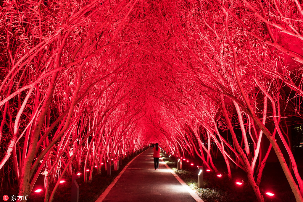 网络文学爱好者必读！新笔趣阁现状及使用建议大揭秘？