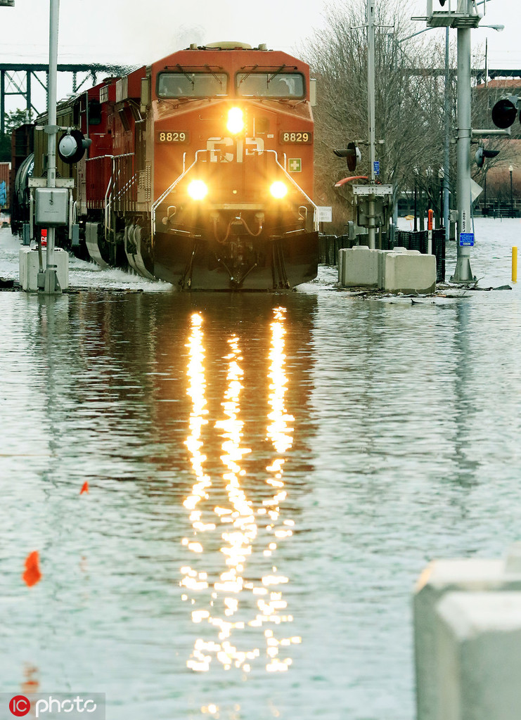 阅站漫画app最新版：免费搜索全网漫画，畅享多种便捷阅读体验