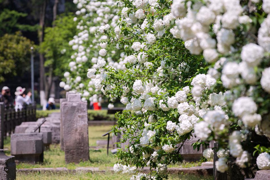 备受关注的死神230模型，设计与工艺究竟有多出色？