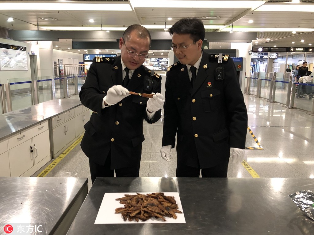 斗破苍穹老粉必看！正版免费观看渠道及支持正版的意义