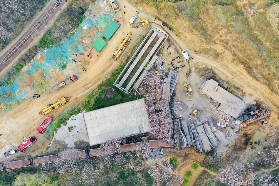 《海贼王第890集》在线观看