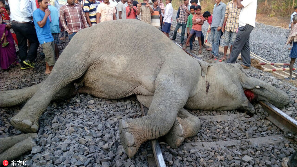 datealive 地铁逃生回归！biubiu免费加速，畅玩海量海内外精品手游