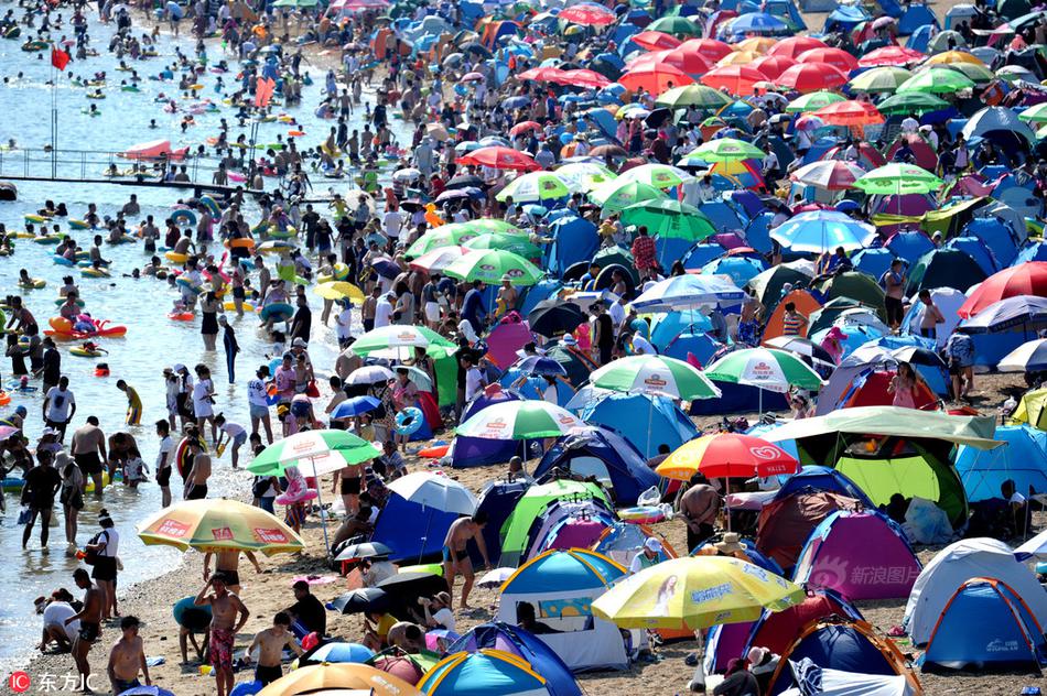 《海贼王第890集》在线观看