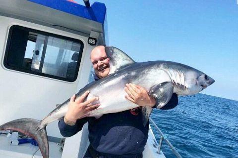 备受关注的死神230模型,设计与工艺究竟有多出色?