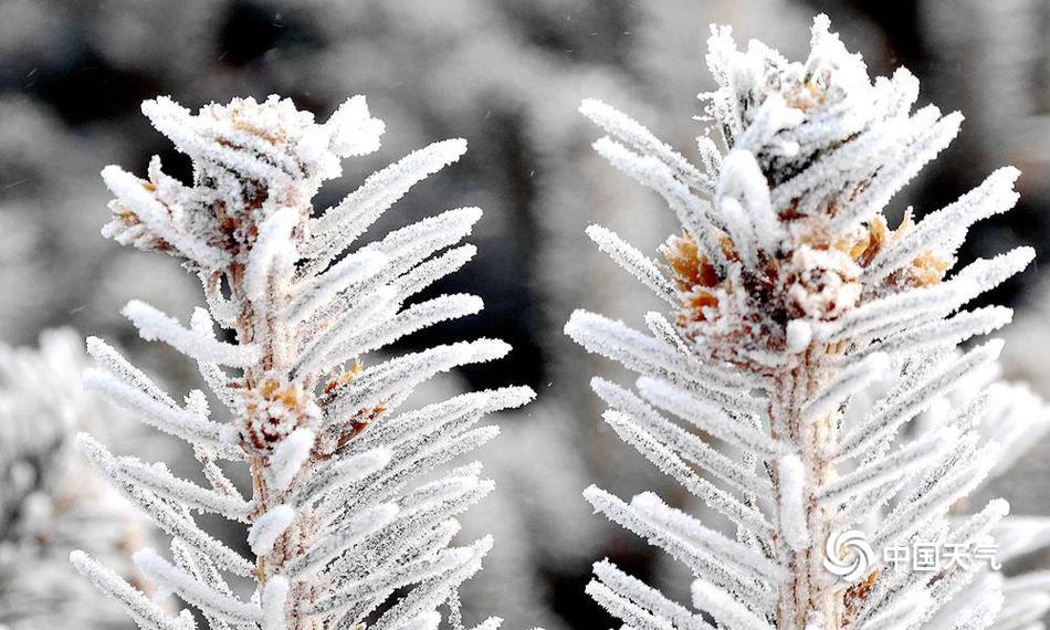 阅站漫画app最新版：免费搜索全网漫画，畅享多种便捷阅读体验