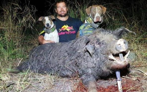 异世界搞笑冒险番为何吸引人？独特设定与反差角色是关键