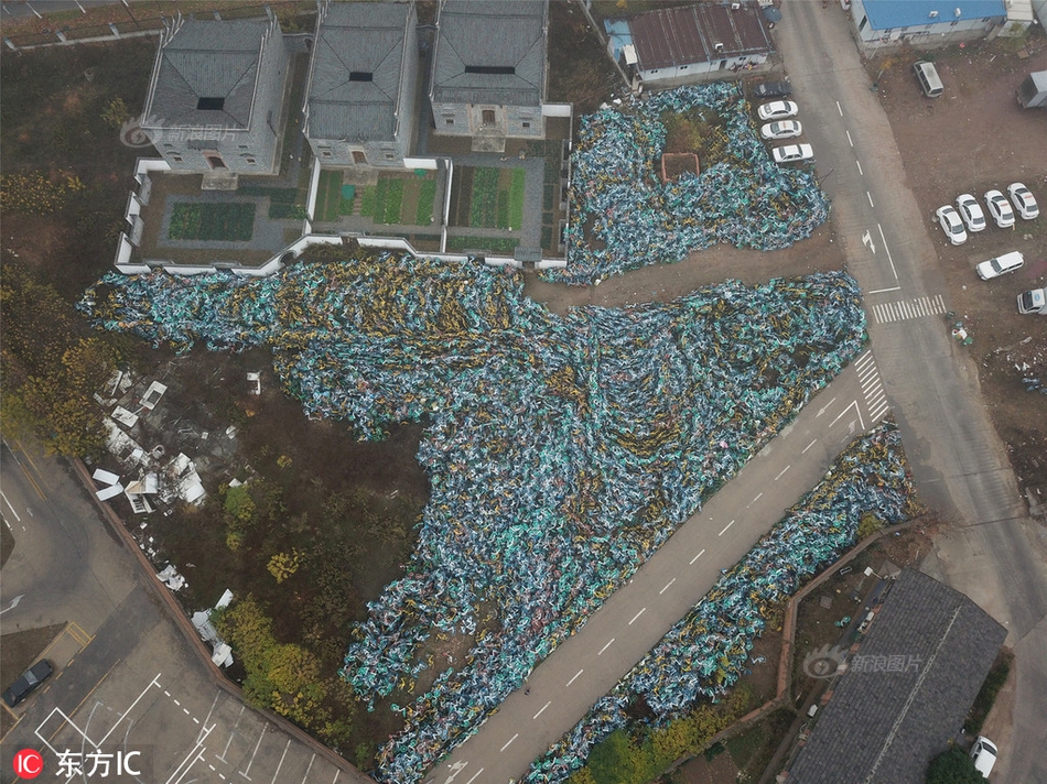 纯情花嫁漫画下拉无广告