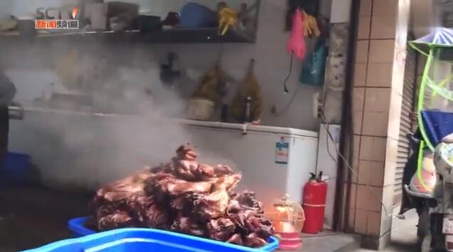 完美世界动漫周几更新