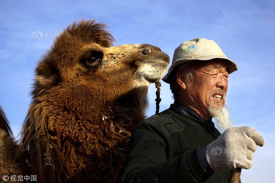 完美世界动漫高清在线观看165集