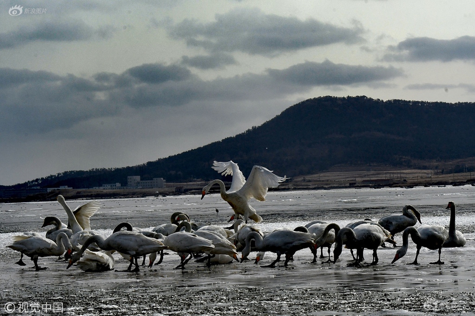 免费漫画阅站app下载安装无广告，畅享丰富漫画资源