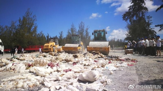 弱点漫画在线观看