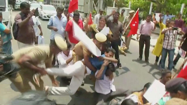 平凡职业成就世界最强樱花