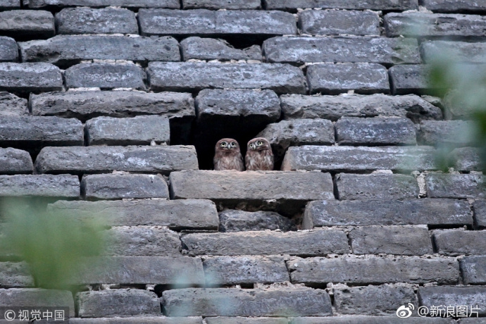 影视作品中万人迷反派为何更吸睛？如何塑造有魅力反派？