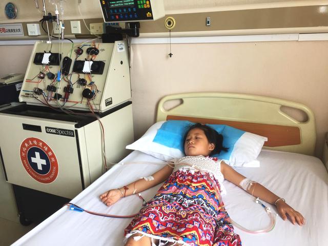 《海贼王第890集》在线观看