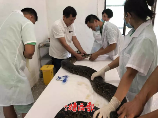 弱点漫画在线观看