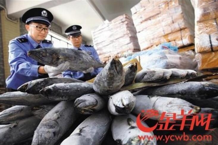 《海贼王第890集》在线观看