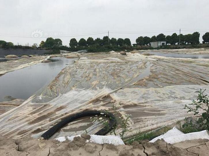 免费漫画阅站官方正版：无广告弹窗，全网漫画免费看