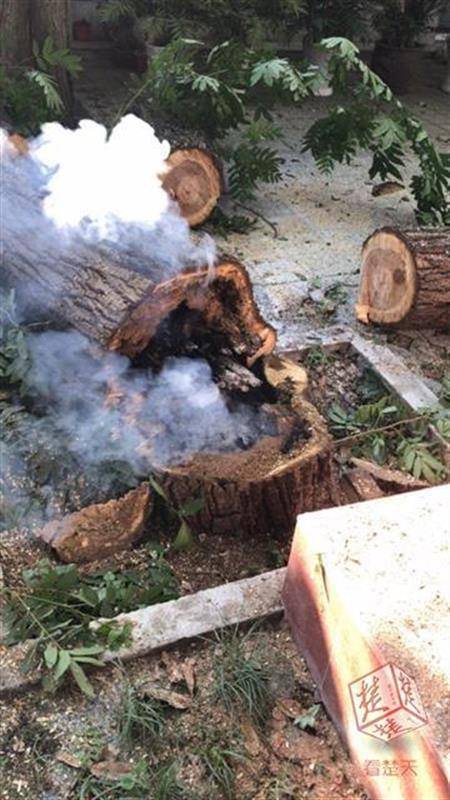 丑女的后宫法则