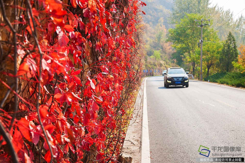 哔哩哔哩隐藏内容怎么找？特殊标签与搜索技巧是关键