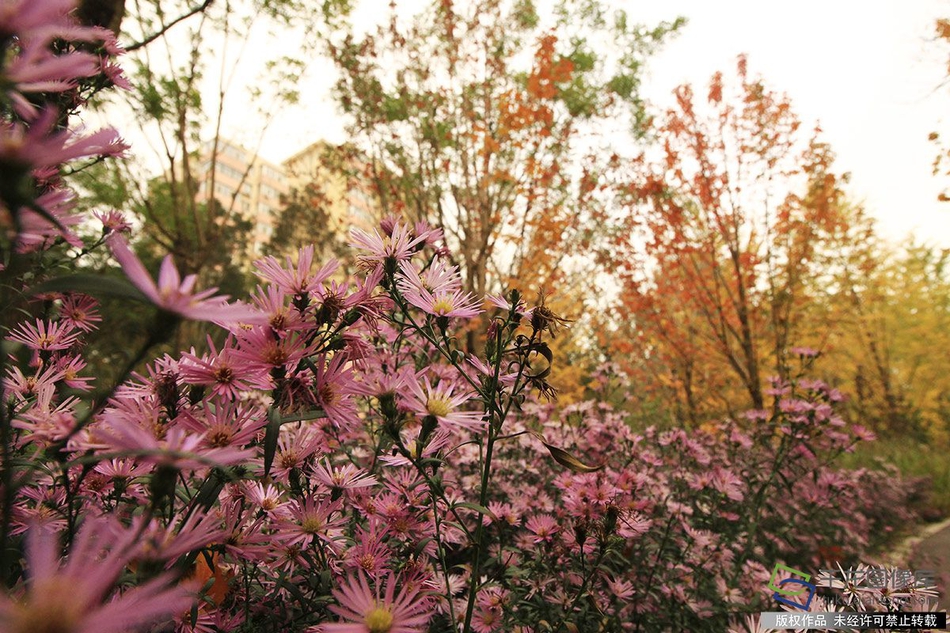 都市极品仙医李云