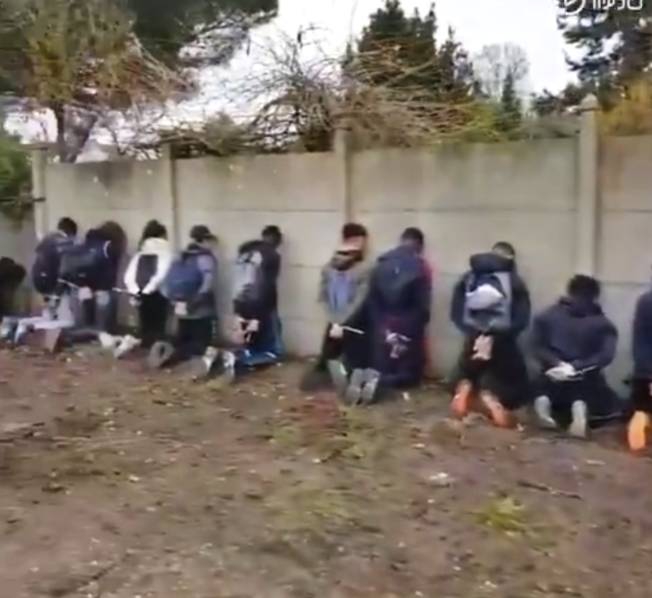 免费漫画阅站官方正版：无广告弹窗，全网漫画免费看