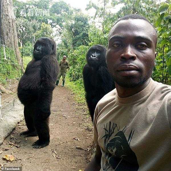 阅站漫画app最新版：免费搜索全网漫画，畅享多种便捷阅读体验