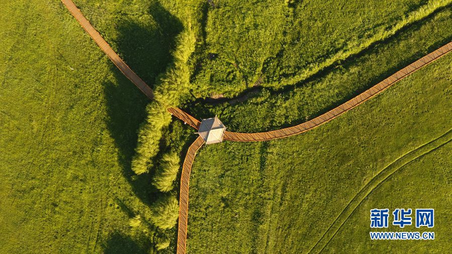 狐妖小红娘手游关服
