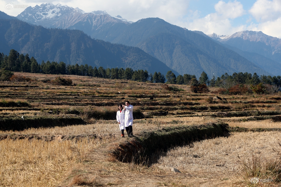 《海贼王第890集》在线观看