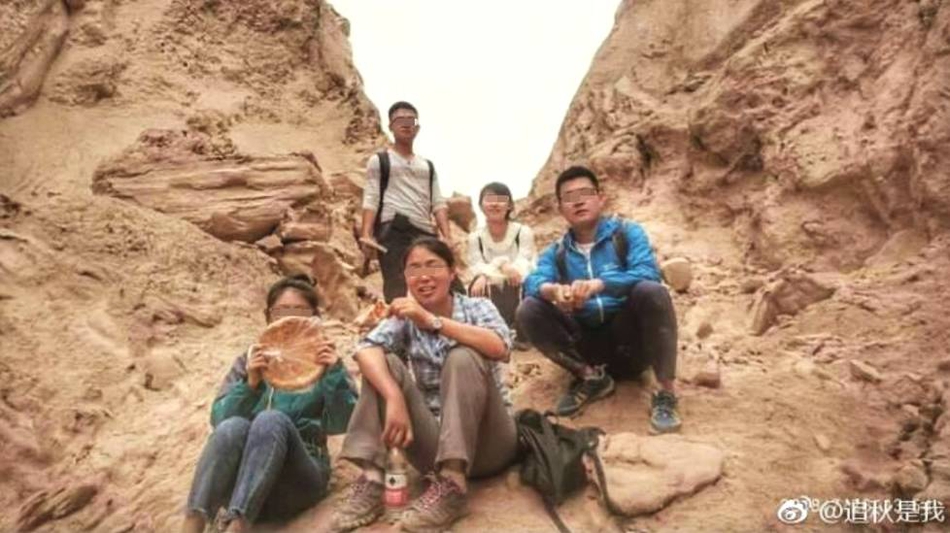 《海贼王第890集》在线观看