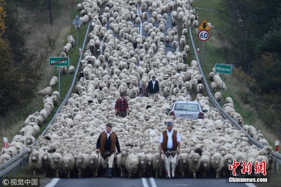 缘之空借兄妹情纠葛引发思索,为何对兄妹恋情描绘引争议?