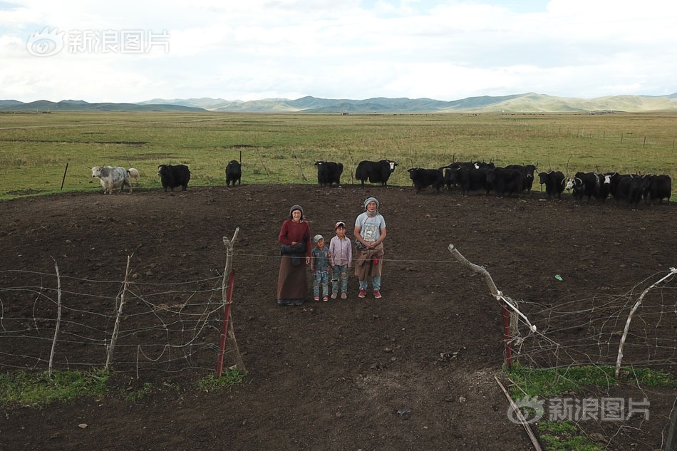 网络文学爱好者必读！新笔趣阁现状及使用建议大揭秘？