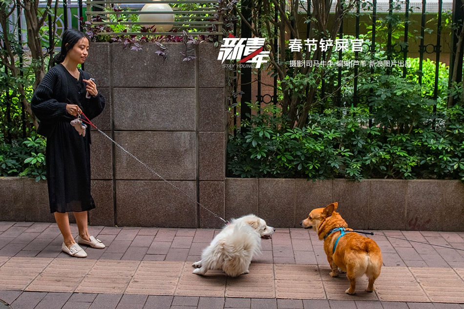 缘之空借兄妹情纠葛引发思索，为何对兄妹恋情描绘引争议？