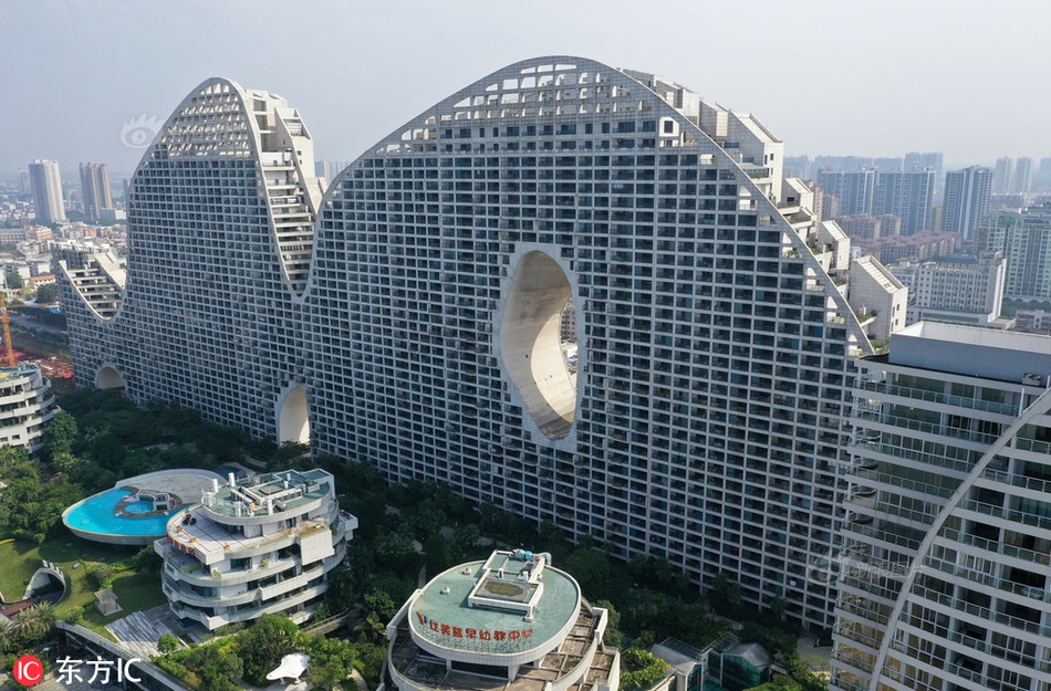 《海贼王第890集》在线观看