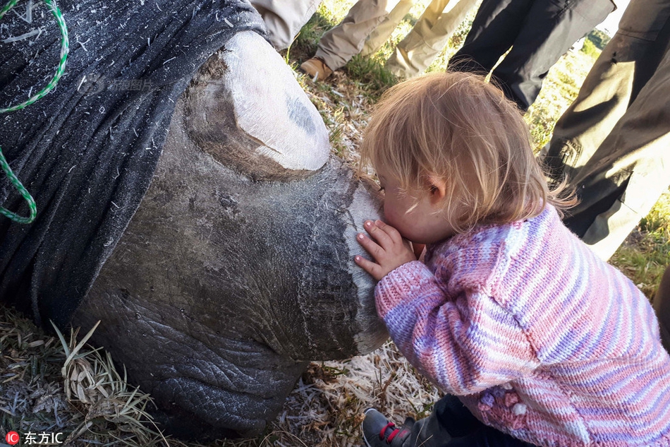 斗罗大陆2绝世唐门全集在线观看