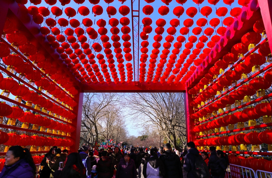 异世界搞笑冒险番为何吸引人？独特设定与反差角色是关键