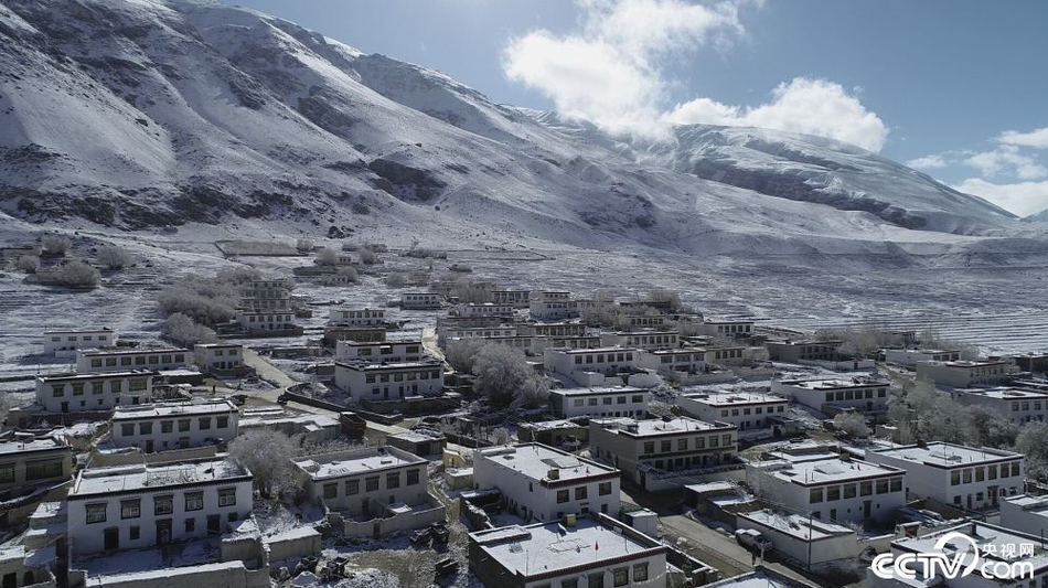 哔哩哔哩隐藏内容怎么找？特殊标签与搜索技巧是关键