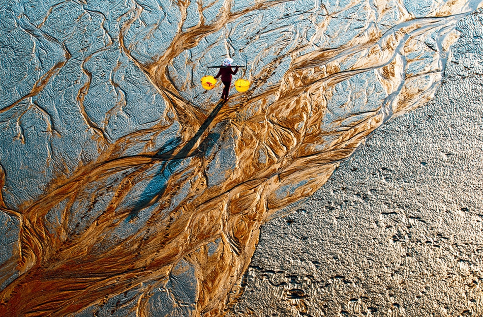 恰似寒光遇骄阳txt笔趣阁