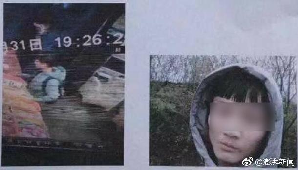 免费漫画阅站app下载安装无广告，畅享丰富漫画资源