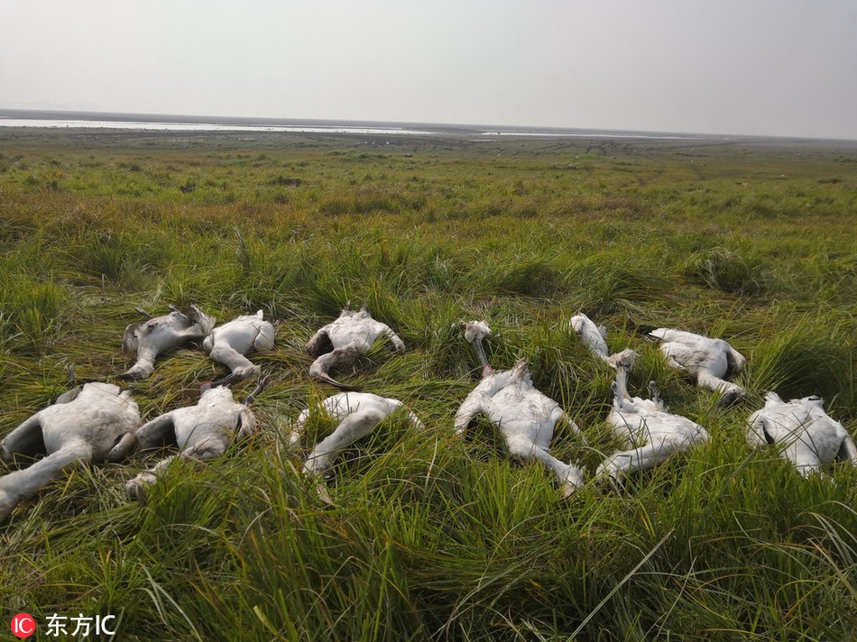 datealive 地铁逃生回归！biubiu免费加速，畅玩海量海内外精品手游