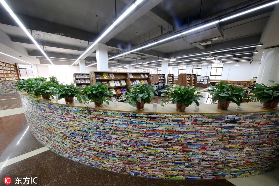 弱点漫画在线观看