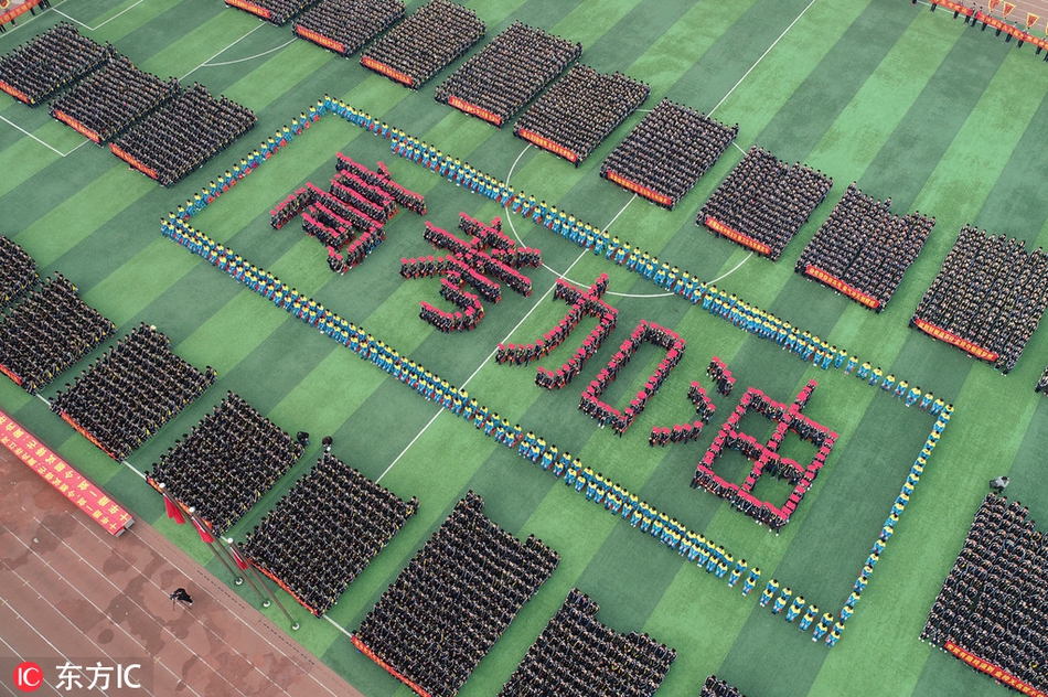 专业看日本动漫的app