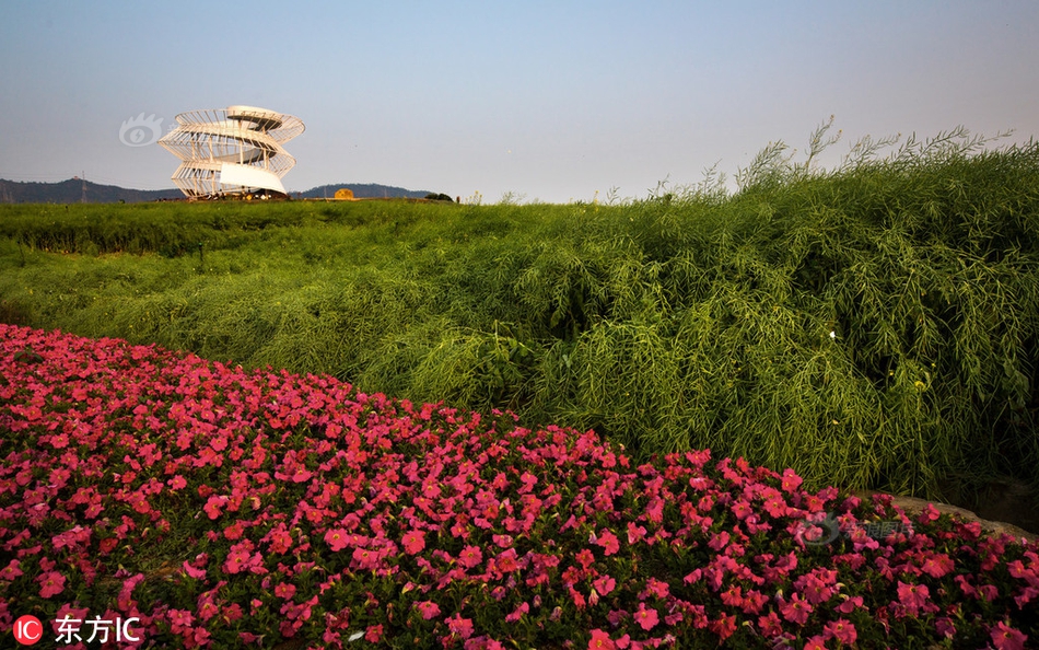 datealive 地铁逃生回归！biubiu免费加速，畅玩海量海内外精品手游