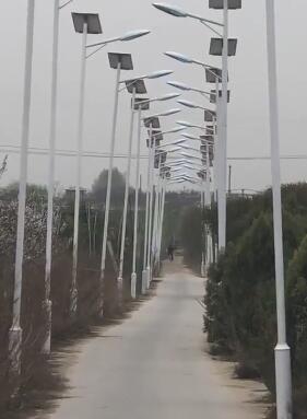 弱点漫画在线观看